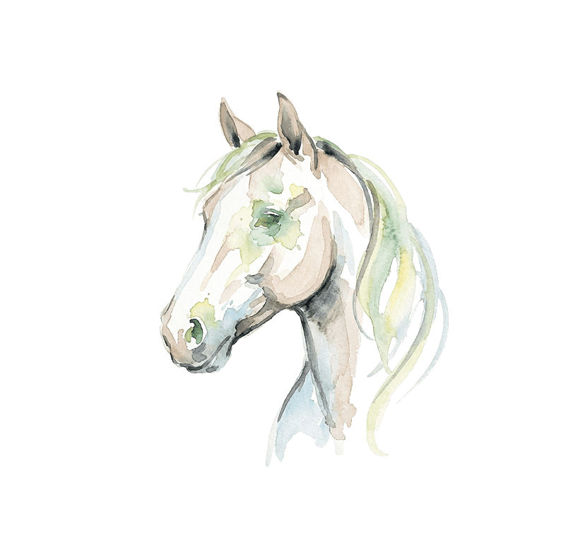 Illustration to render